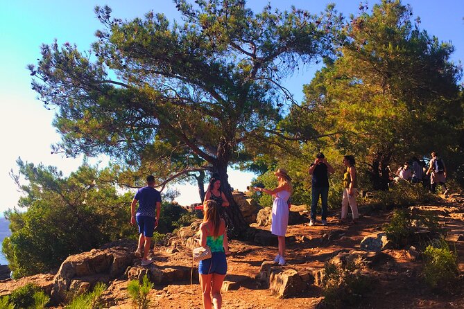 Private Princes' Islands Tour - Private pickup and ferry transfer: less chaos, more time