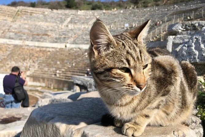 Private Tour : Biblical Ephesus Tour for Cruisers from Kusadasi ( Ephesus ) Port - Shopping stops and workshops: how to keep the day focused on ruins and faith