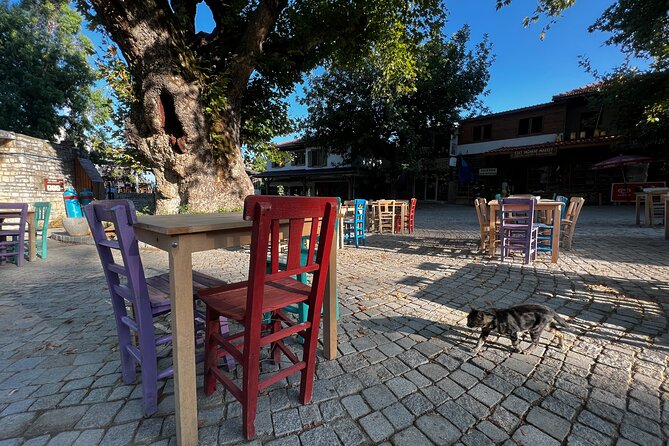 PRIVATE TOUR: Explore Hidden Gems of Marmaris Peninsula - Bayir Village: the 1800-year plane tree and a calmer tea pause