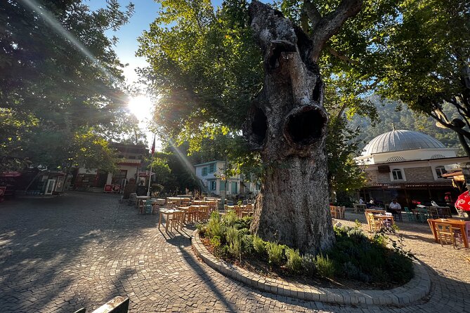 PRIVATE TOUR: Explore Hidden Gems of Marmaris Peninsula - The pitta stop that fits the day (and actually sounds good)