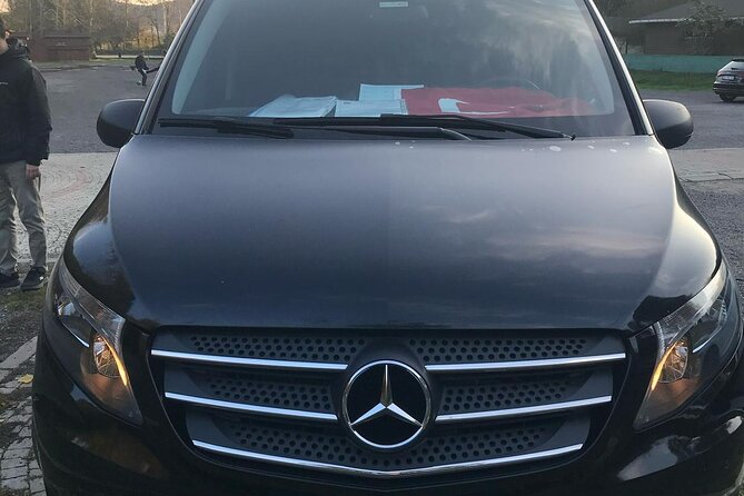 Private Transfer from IST Airport to Fatih, Taksim, or Besiktas - From Baggage Claim to Your Private Vehicle