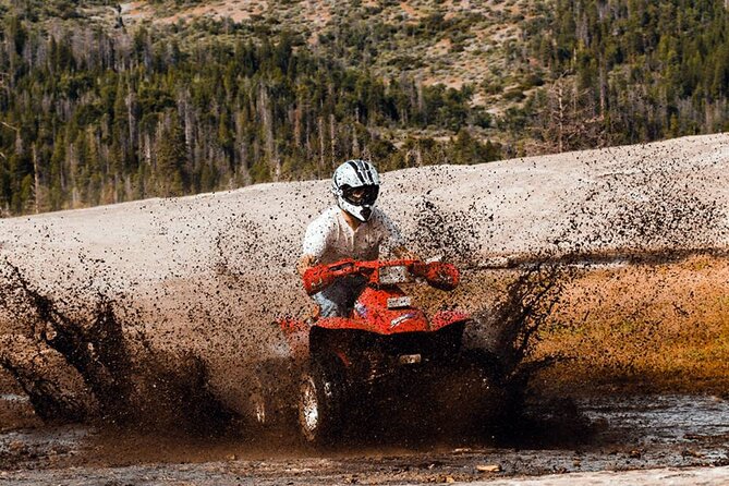 Quad Safari Experience in Alanya (Adventure Tour) w/ Free Hotel Transfer - Gear, Dust, and Wet Boots: What to Pack (and Not Be Fooled by)