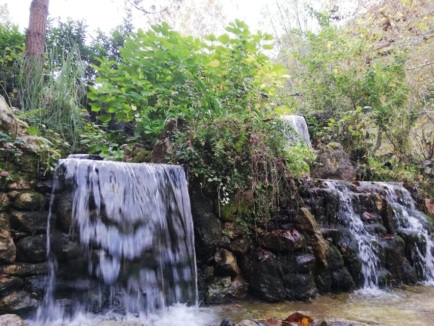 Sapanca & Masukiye Full-Day Tour with Lunch and Transfers - Key things to know before you go