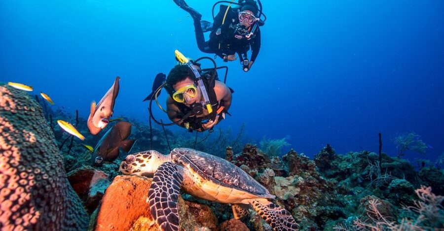 Scuba Diving Tour with Transfer From Alanya and city of Side - From Side or Alanya, this day runs like a real plan