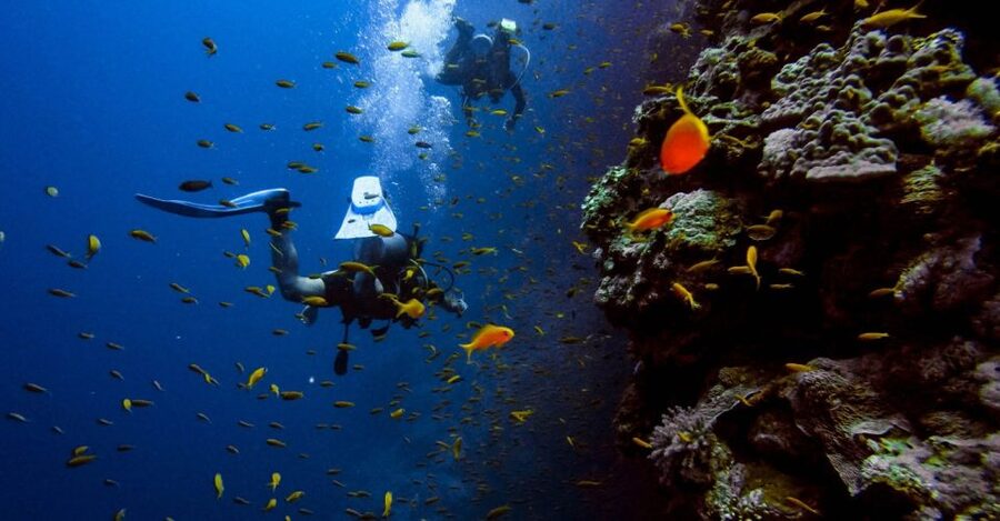 Scuba Diving Tour with Transfer From Alanya and city of Side - The second underwater session: repeat the depth, change the spot