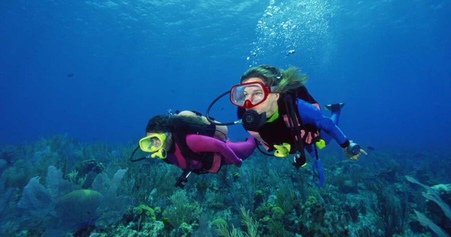 Scuba Diving Tour with Transfer From Alanya and city of Side - Photos, videos, and the fish-feeding moment