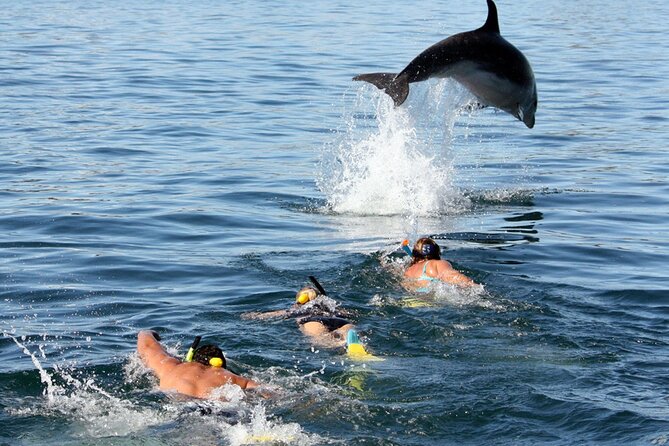 Side Dolphin Island Boat Trip With Lunch And Soft Drinks - Kumköy Beach to the Manavgat River Delta Swim Break