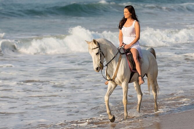 Side Horse Riding On Beach And Through The Forests For 2 Hours - Staff, Group Size, and the Pace You Actually Get