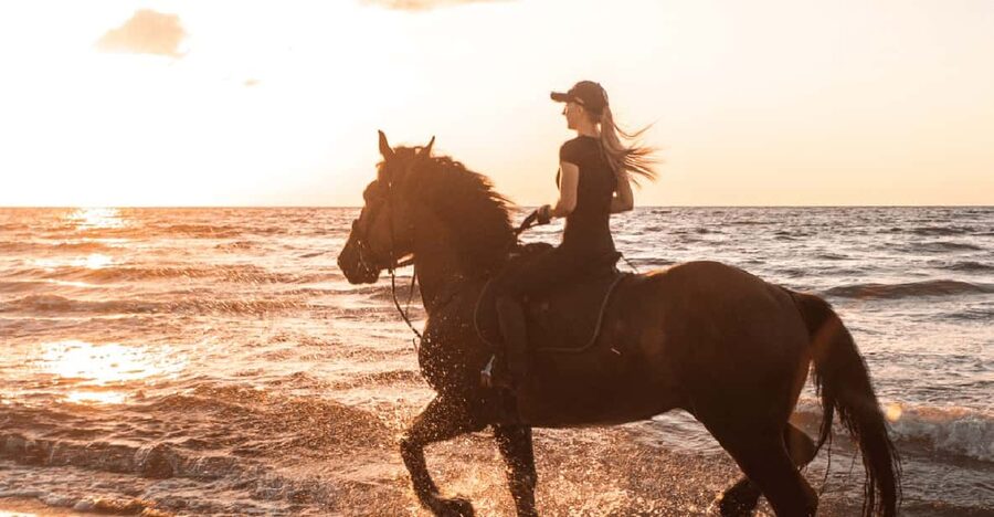 Side: Horseback Riding Tour in Nature - Key things I’d note before you go