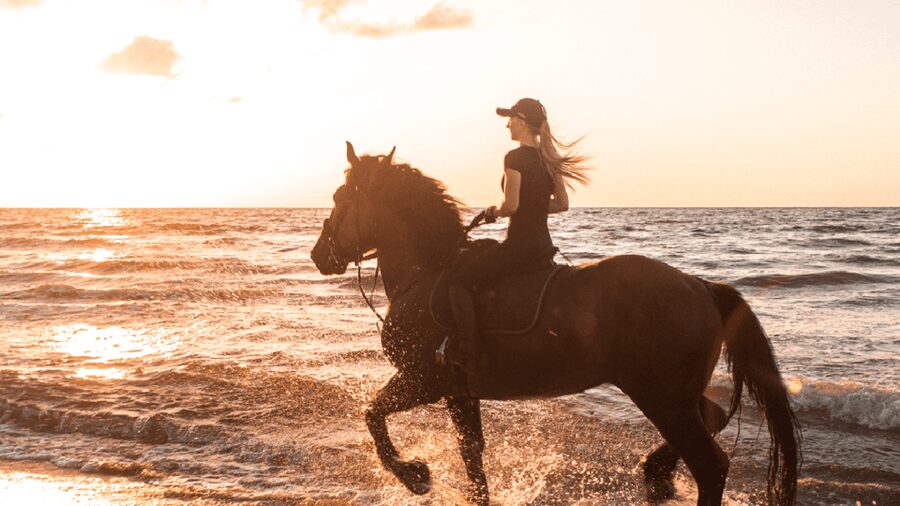 Side: Horseback Riding Tour in Nature - Horse Care + First-Ride Coaching: The Part Beginners Will Appreciate