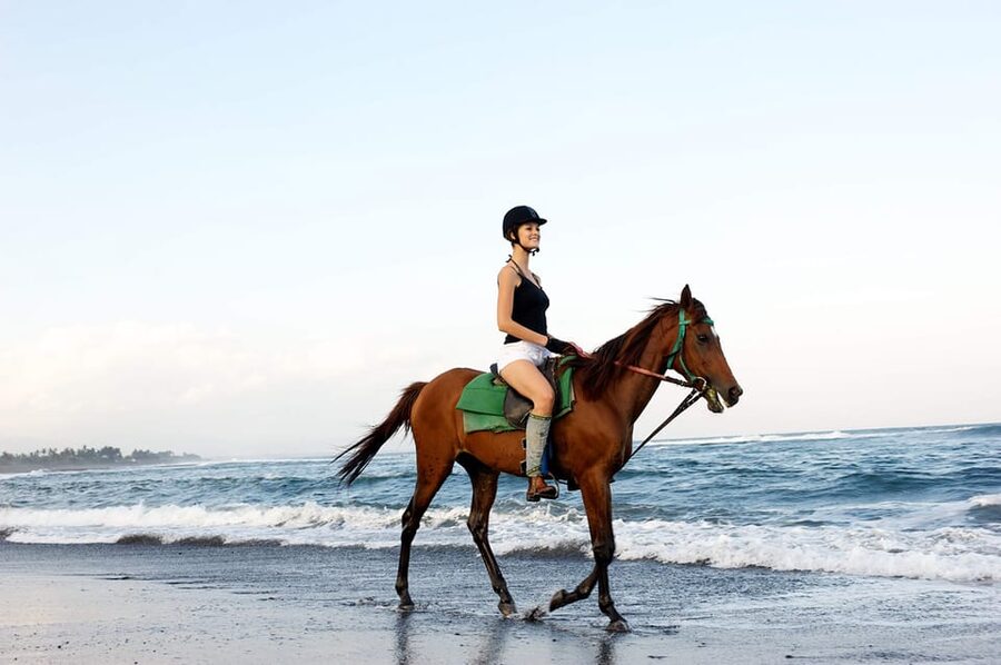 Side: Horseback Riding Tour in Nature - Gear, Comfort, and What to Bring From Side to the Ranch