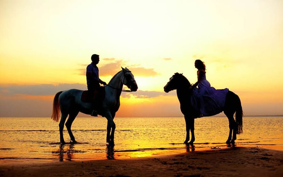 Side: Horseback Riding Tour in Nature - Price and Value: Is $58 a Good Deal?