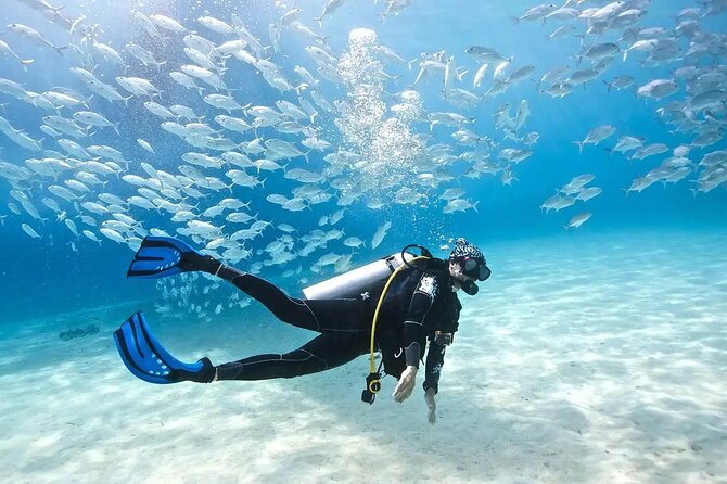 Side /Manavgat : Underwater Museum Scuba Diving w/ Lunch Transfer - Side Harbour mornings start with straightforward hotel pickup