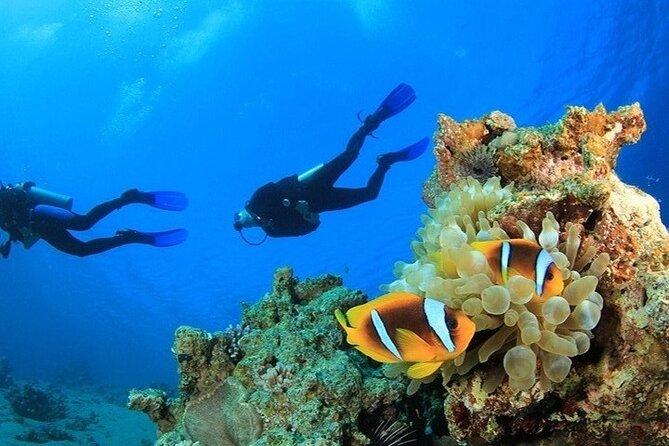 Side /Manavgat : Underwater Museum Scuba Diving w/ Lunch Transfer - Lunch, insurance, and equipment, the included stuff that adds value