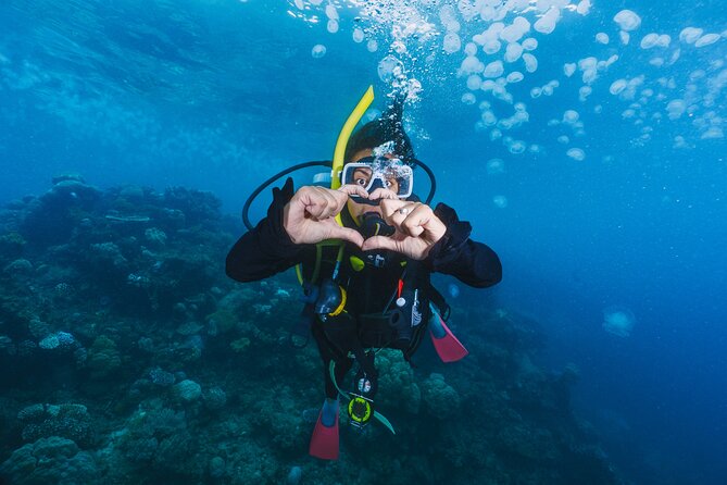 Side Scuba Diving for Beginners with Lunch and Transfers - Side’s morning-to-midday structure: what 6 hours feels like