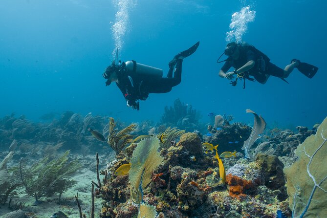Side Scuba Diving for Beginners with Lunch and Transfers - Lunch onboard: snitzel and pasta, and why it’s a smart inclusion