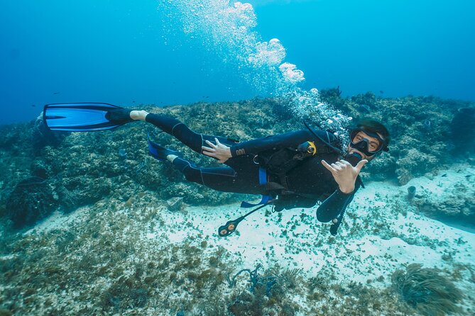 Side Scuba Diving for Beginners with Lunch and Transfers - What you can see under the water around Side