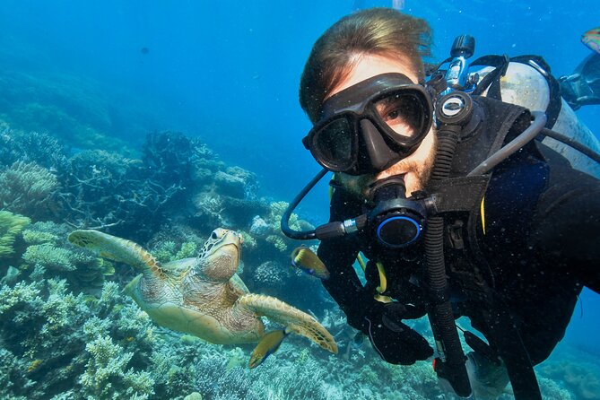 Side Scuba Diving for Beginners with Lunch and Transfers - Small groups and patient coaching: the real beginner advantage
