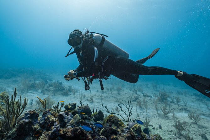Side Scuba Diving for Beginners with Lunch and Transfers - Price and value: why $49.21 can make sense