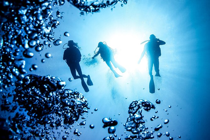 Side Scuba Diving for Beginners with Lunch and Transfers - What costs extra, and how to decide