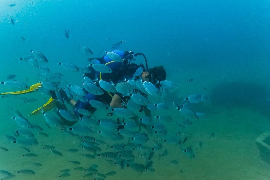Side: Scuba Diving, Underwater Museum, 2 Dives incl. Lunch - Side Stops and Coast Views: You Get More Than One Pretty Frame