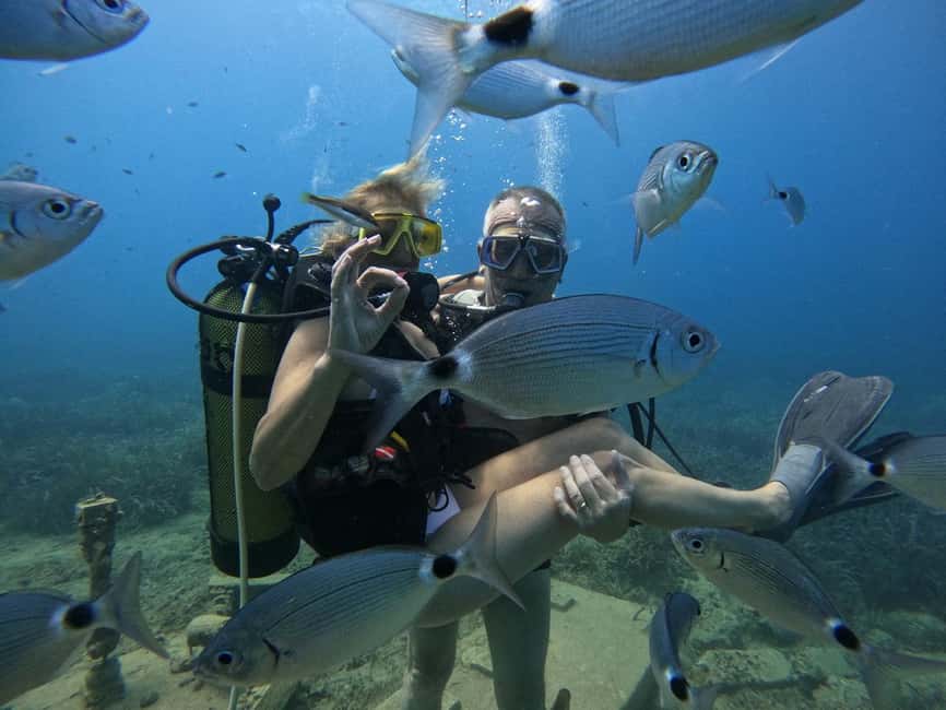 Side: Scuba Diving with Expert Diving Option - Lunch on board: simple, filling, and timed right