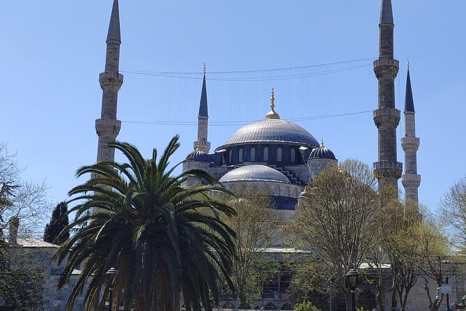 Skip Lines with Local Tour Guide Taha - Skip-the-line access in Sultanahmet: what it really saves you