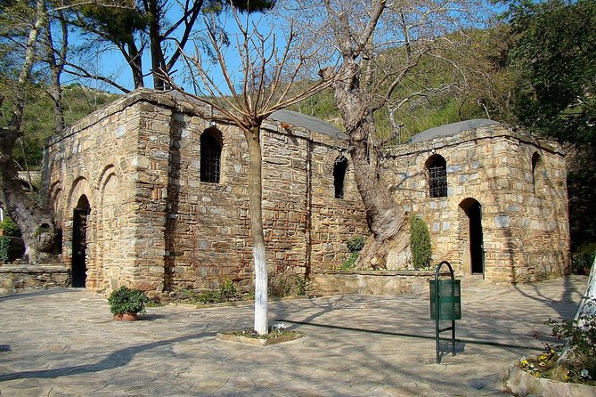 SKIP-THE-LINE: Group & Private Ephesus Tour ENTRY FEE & LUNCH - Temple of Artemis and the House of the Virgin Mary, faith plus ruins