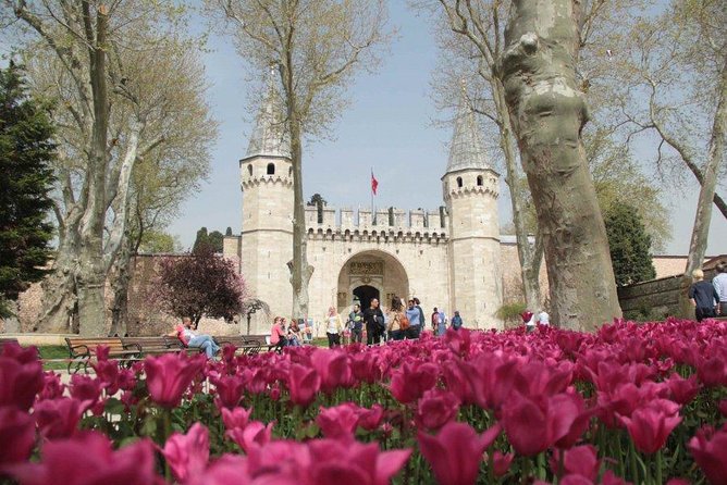 Small Group Full-Day Istanbul Old City Tour with Lunch & Tickets - Blue Mosque: Iznik Tiles, Six Minarets, and Friday Courtyard Visits