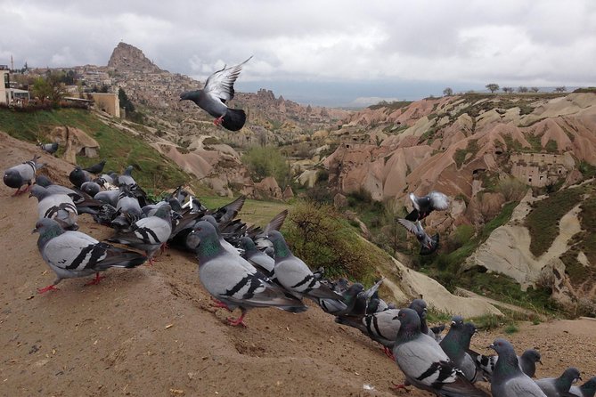 Tour of Highlights of Cappadocia with Lunch - Pasabag and Monks Valley: Fairy Chimneys With a Close-Up Feel