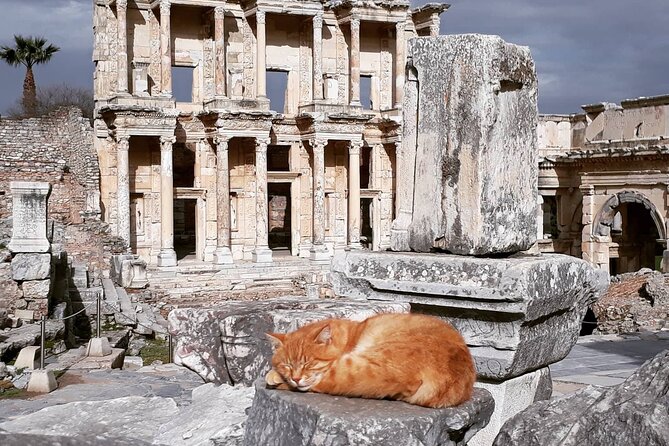 Traveler's choice: Ephesus, Terrace House Tour WITH TICKETS - Getting back to the ship: the part that can make or break your day
