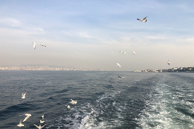 Turkish Odyssey: Exploring the Classics for 8 Days - Day 1 in Istanbul: Airport Pickup and a Sultanahmet Launch Pad