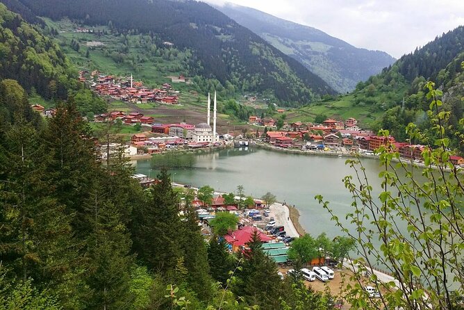 Uzungol Tour: Full-Day Nature Adventure with Tea Factory Visit - Food and lunch: plan to eat at your own pace
