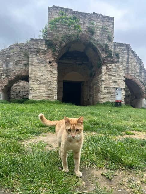 Walls of Contantinople and Byzantine Palace Tour - Palace of the Porphyrogenitus: A Concrete Stop in the Byzantine Story